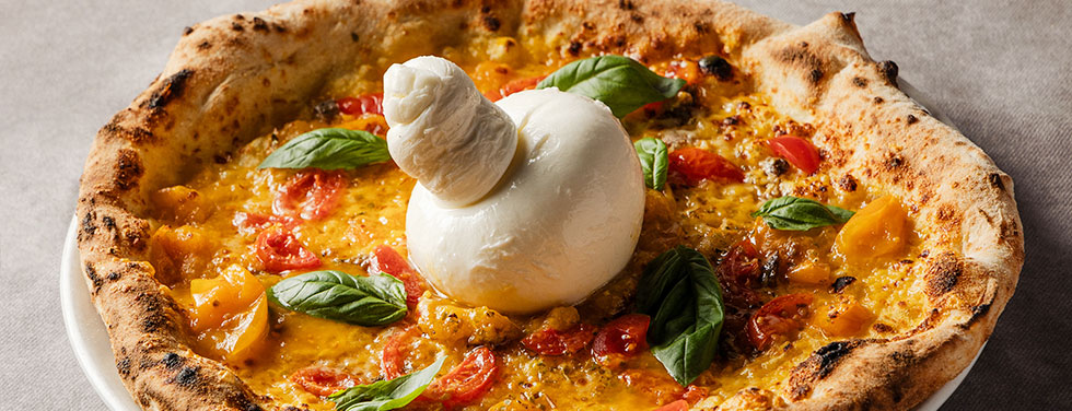 �I�X�e���A �T�����@�g�[���D�y�̉摜