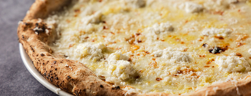 �I�X�e���A �T�����@�g�[���D�y�̉摜