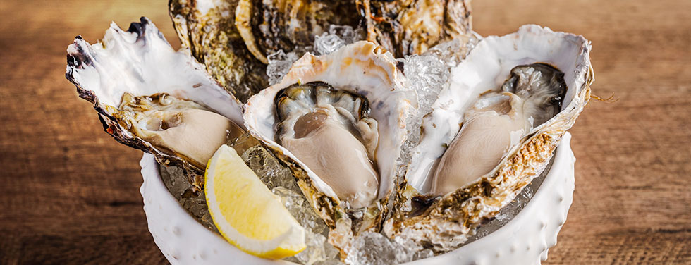 �s�b�c�@ �T�����@�g�[�� �N�I�� �A���h �O�����̉摜